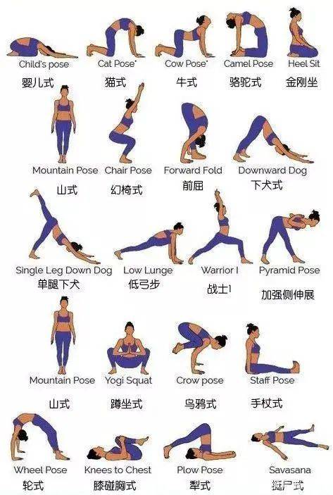 20个经典瑜伽体式图片