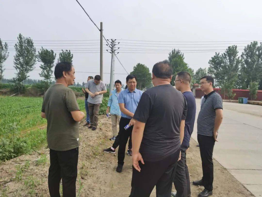 省市领导及专家到我镇视察高粱高效生产技术示范项目