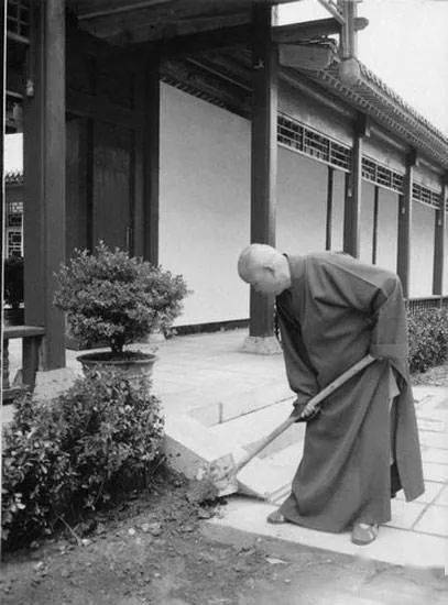 怀念净慧长老 || 谷雨时节忆慧公 法乳恩深永不忘