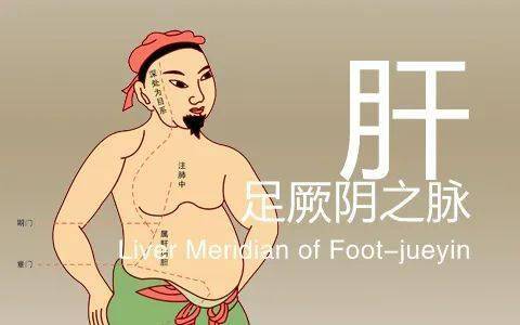 从经脉理论认识肝胆相照