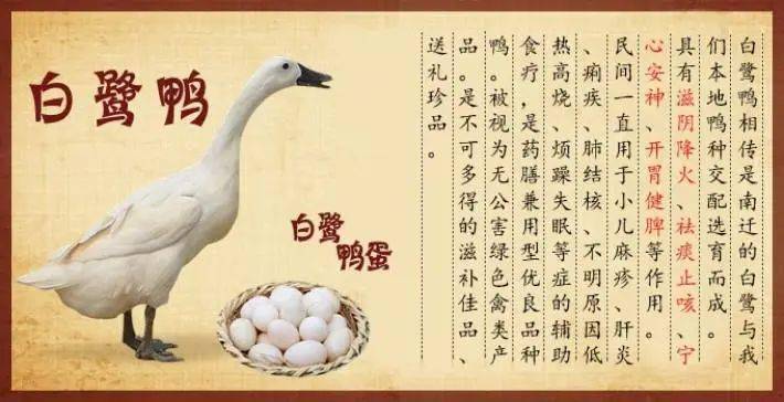本周六一场价值"连城"的直播,别错过!_蹦床