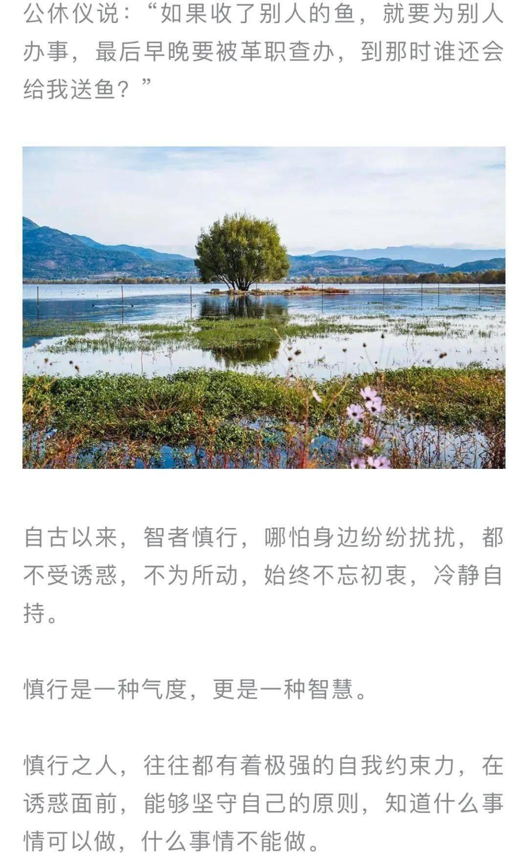 周末品读慎言慎行慎友