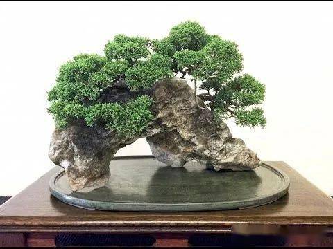 石上盆景,绝美!_山石