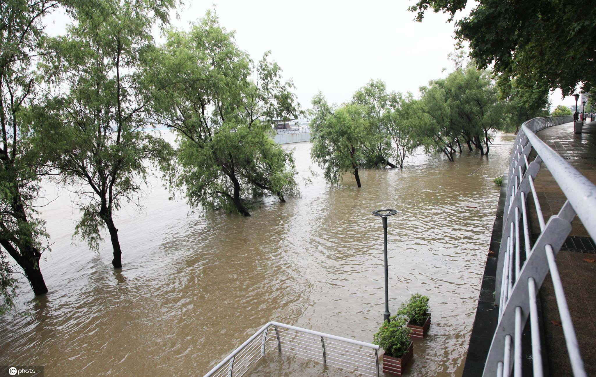 长江南京段水位红色预警 涨至10.26米创历史新高_photo