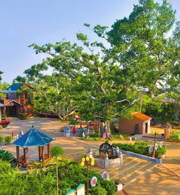 冯塘村连理枝渔家乐乡村旅游海口连理枝渔家乐乡村旅游(山尾头村)地址