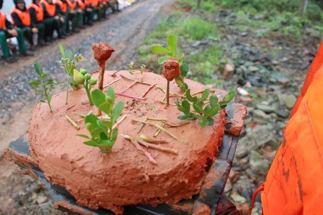 运送的物资就到了,陈浩拿起工具,冒着雨投入到新的战斗中