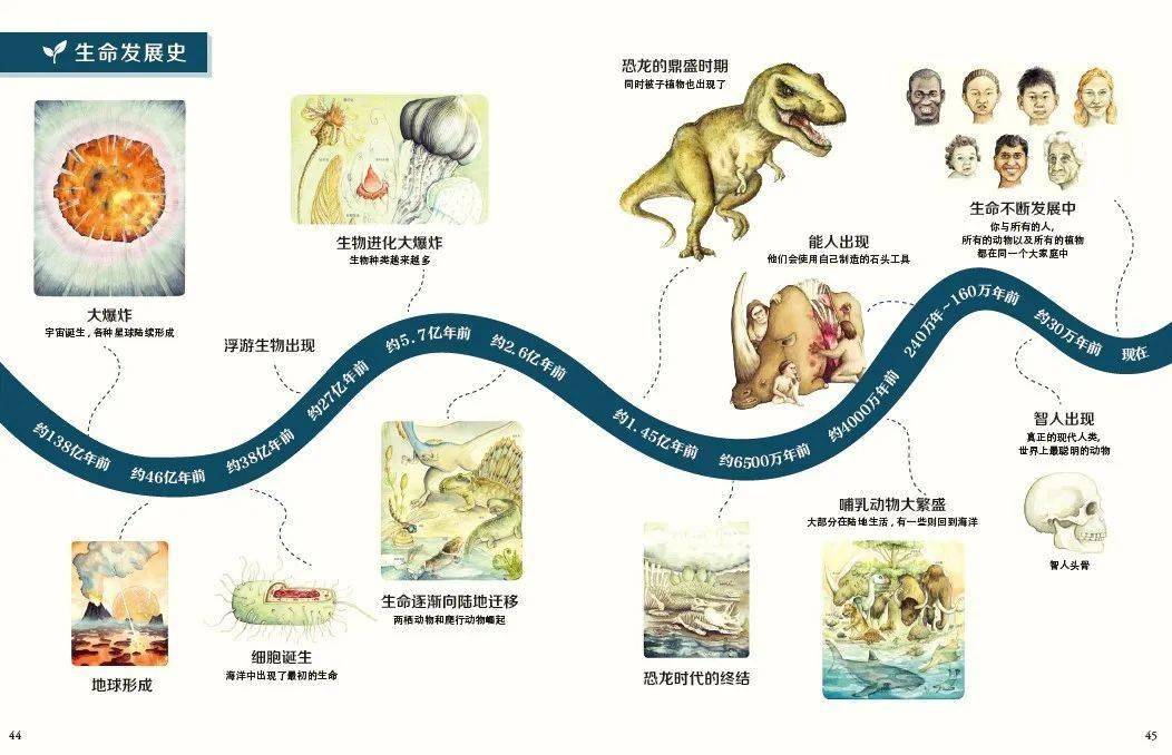 生命演化史示意图图片
