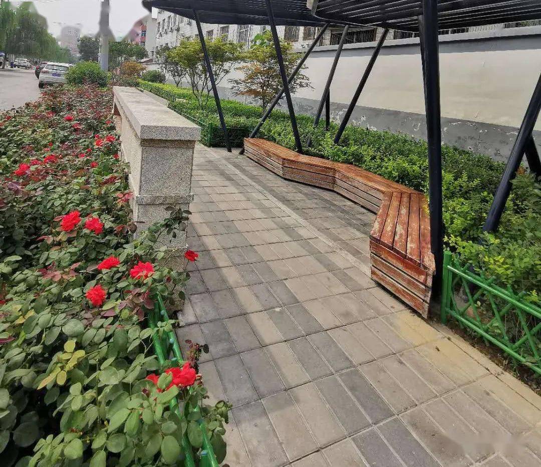 爱了爱了定州17座口袋公园让城市生活更美好