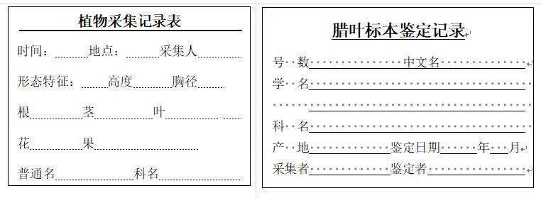 植物标本标签格式图片