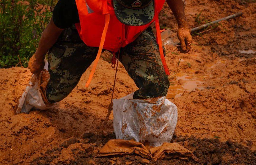 鄱湖战洪图丨直击抗洪抢险一线