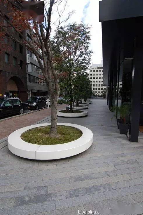 最创意颜值最高的树池在这里