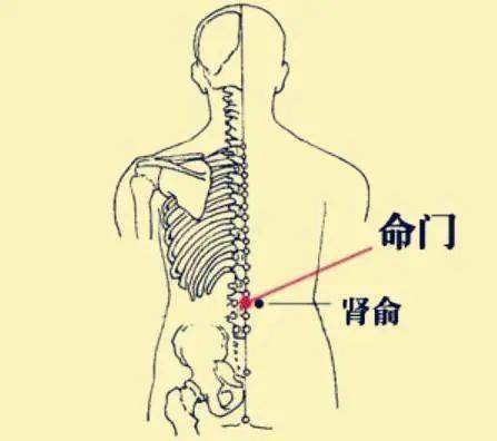 足大拇指起支撐作用,而足少陰腎經,足厥陰肝經和足太陰脾經經過此處