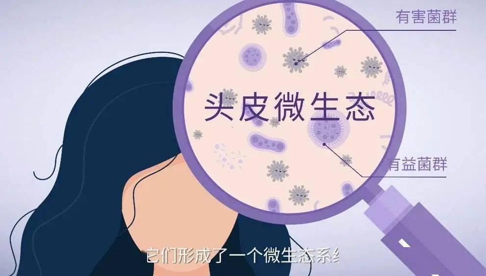 小茂肌诊室特别版 | 头皮篇:"我,油性发质" "不,你敏感性头皮"
