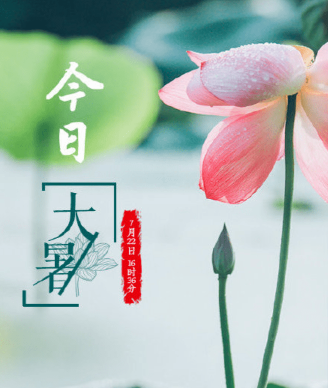 今日大暑宜打卡各大森林公园