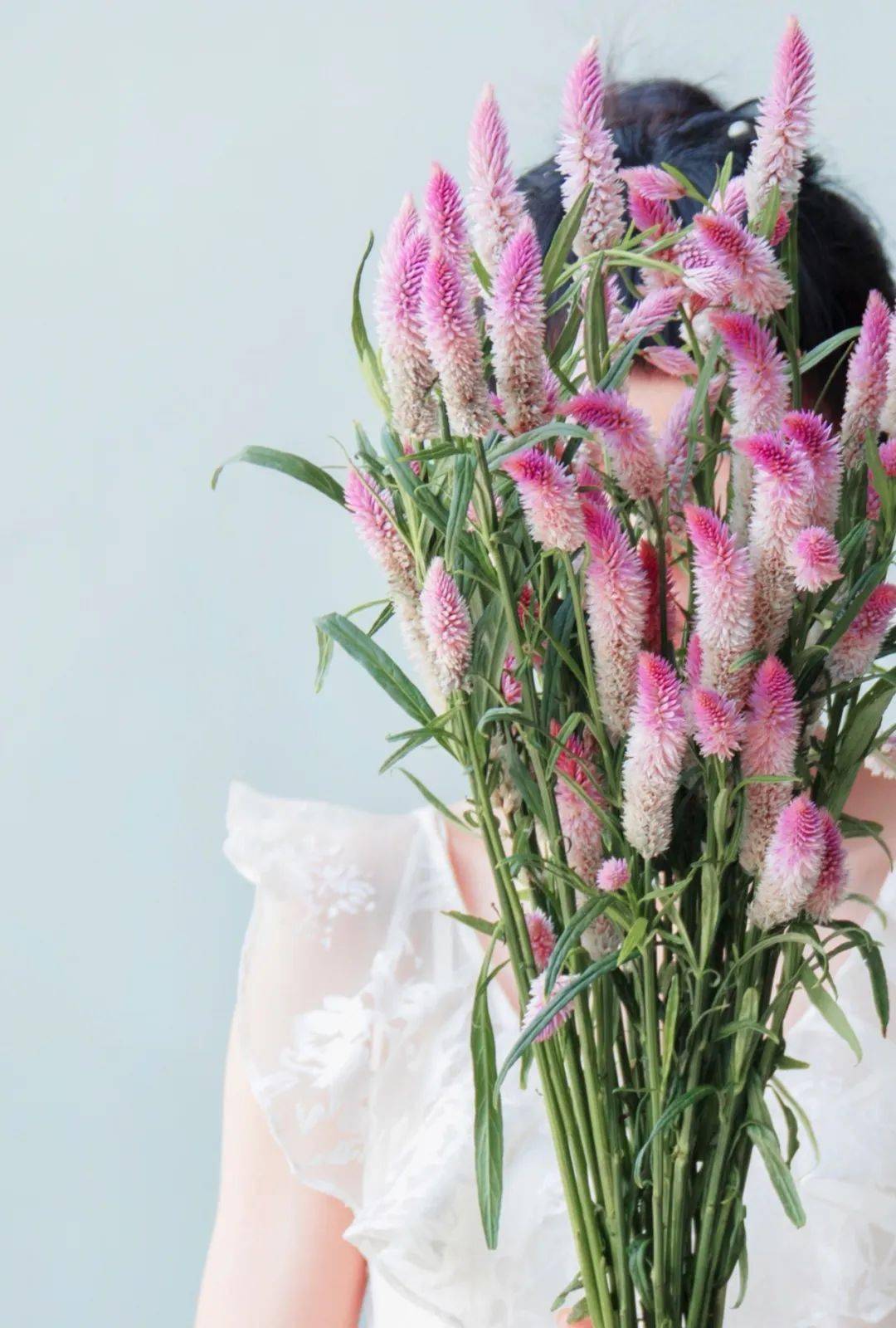 一束粉色凤尾的田园风情_花瓶