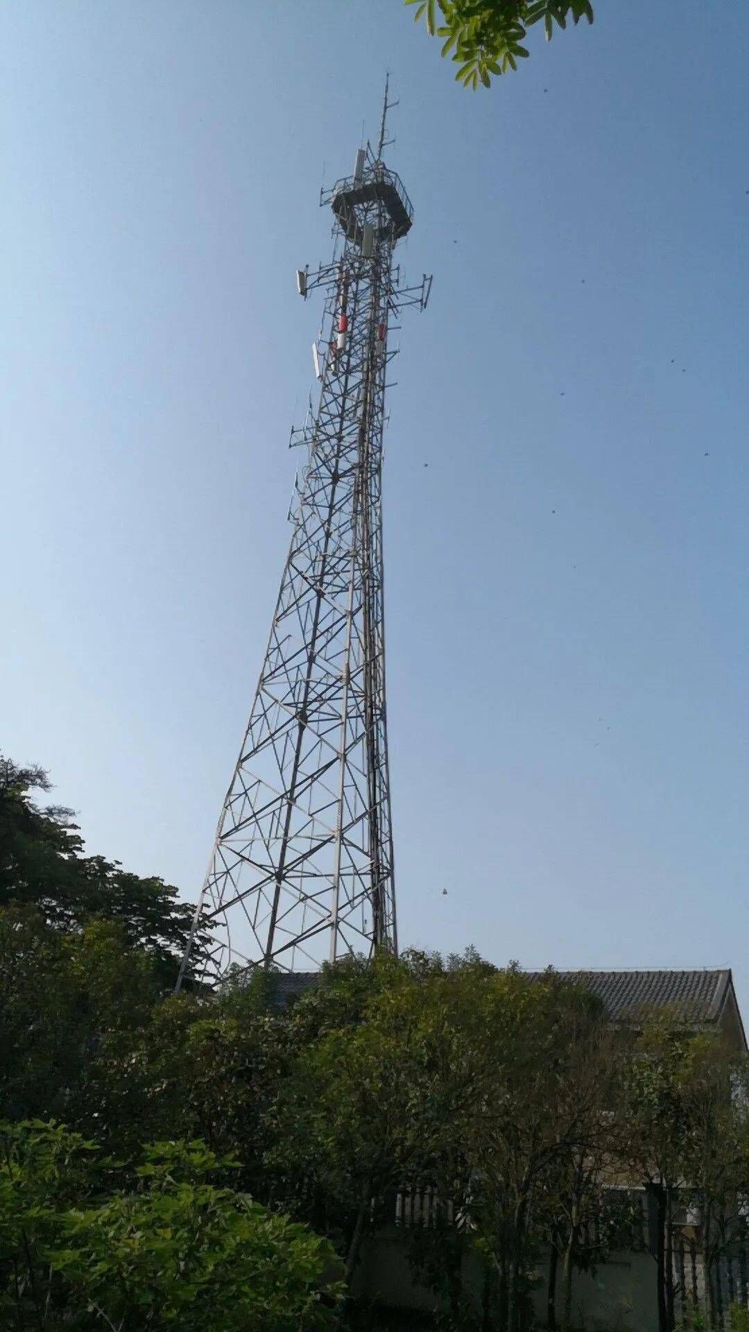 全区地面数字电视覆盖网建成,全面迈进数字电视时代_发射台