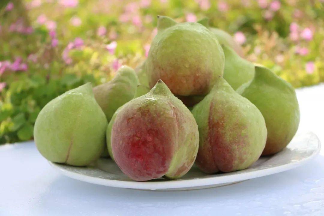 鹰嘴桃尖,被称"桃中贵族", 来自云南深山鹰嘴桃,肉肥脆嫩,一口爆汁,吃