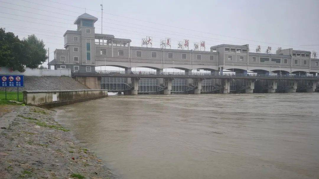 实拍今天阜城颍河闸12孔全开