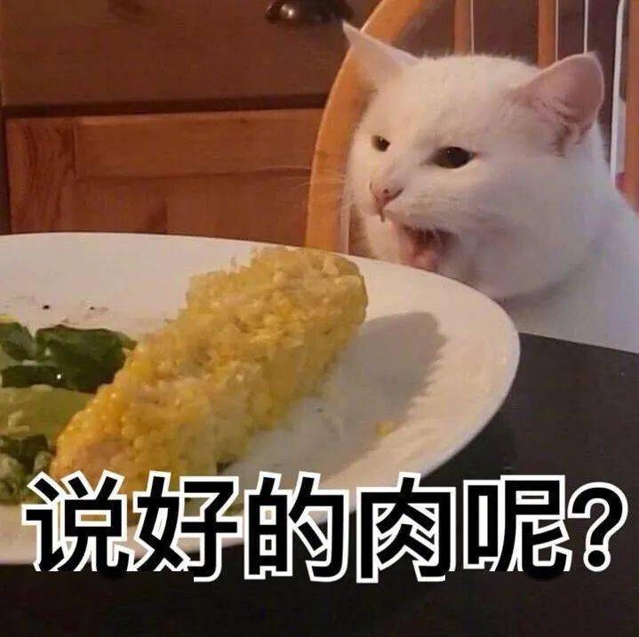 猫猫表情包第21期丨 "我等的猫它在多远的未来"