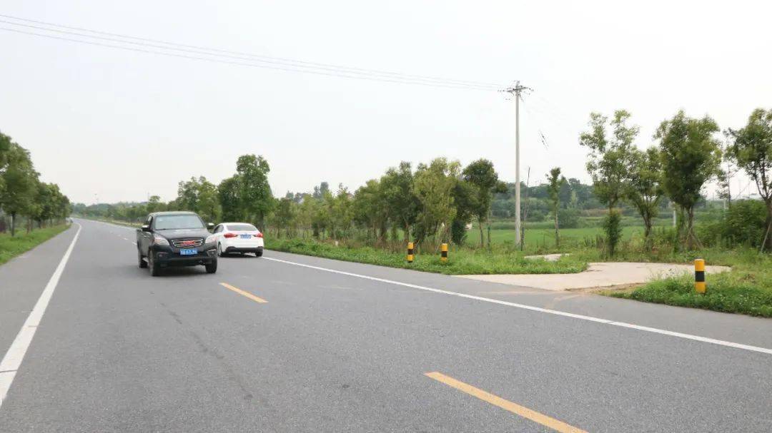 绿丰家庭农场新园地址:巢湖市荣裕大道,s104省道北侧500米,荣裕大道旁