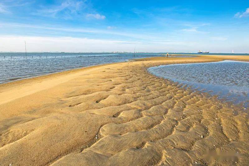 睇到了湛江港合水线