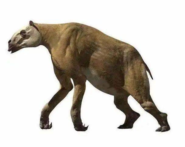 5种在远古已灭绝的史前动物,第3种被称为披着狼皮的羊