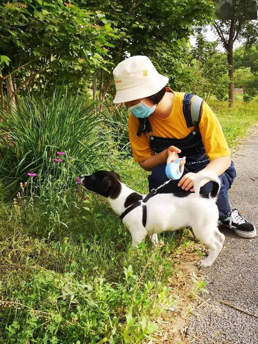 给它们一个家 | 线上宠物领养日 (20200726)