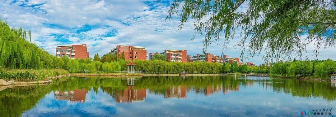 招生季 | 山东科技大学"拍了拍"你 招生简章了解一下