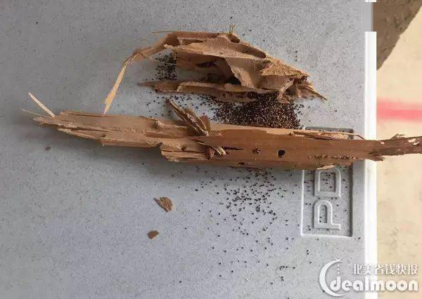 在湾区买房,最容易忽略的竟是._白蚁