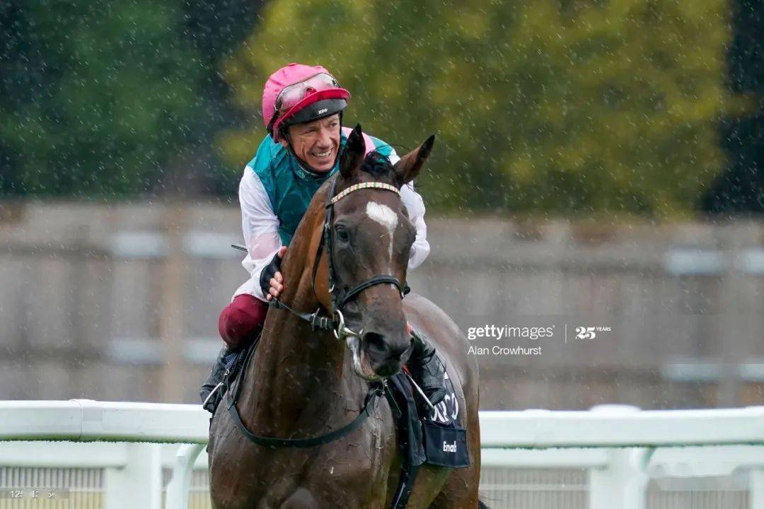 欧洲马王「成全宝」创纪录3夺英皇锦标赛!