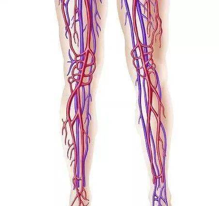 国模杨依大胆张腿人体图片
