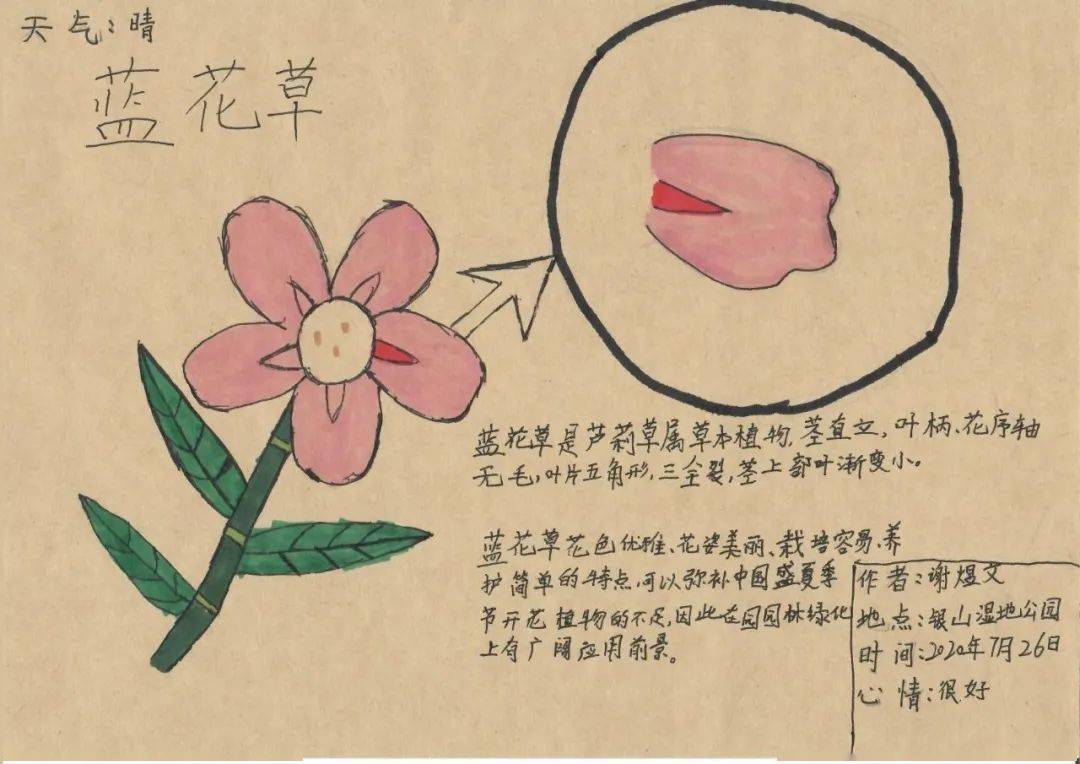 环保概念摄影教程笔记，技巧教学大全
