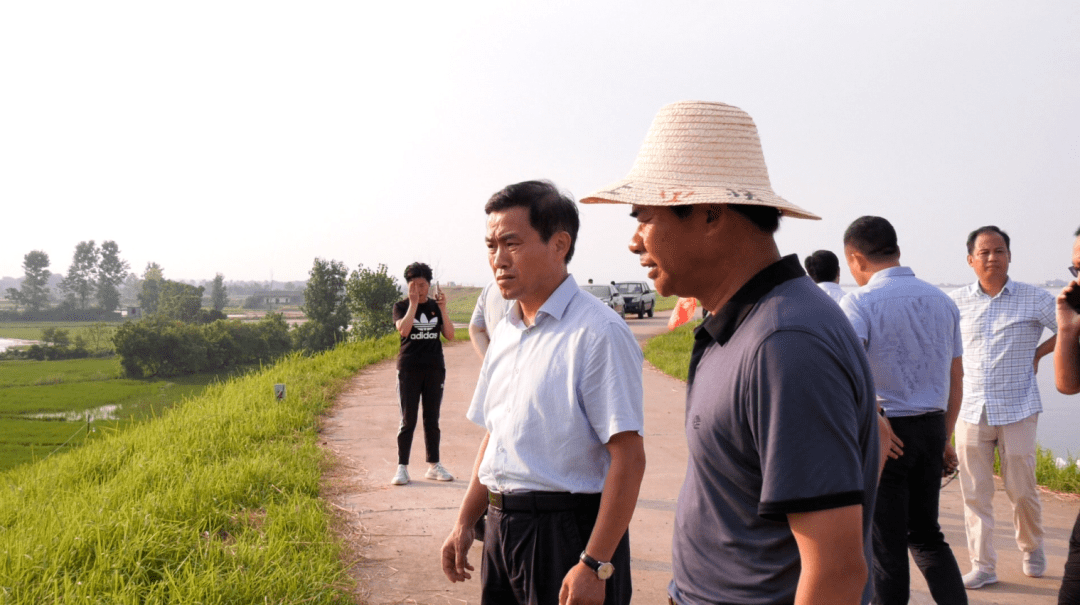 钟益民深入部分乡镇指导灾后农业生产自救