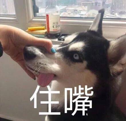 "我不是你爸真没法包容你"开玩笑要有度