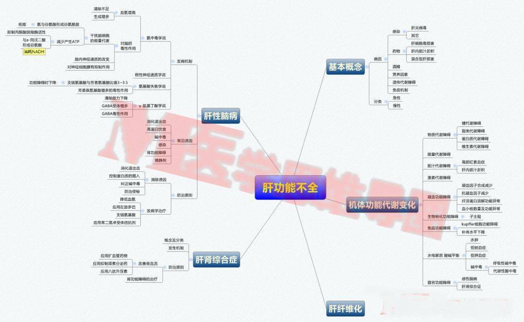 病理學 肝功能不全:病毒性肝炎