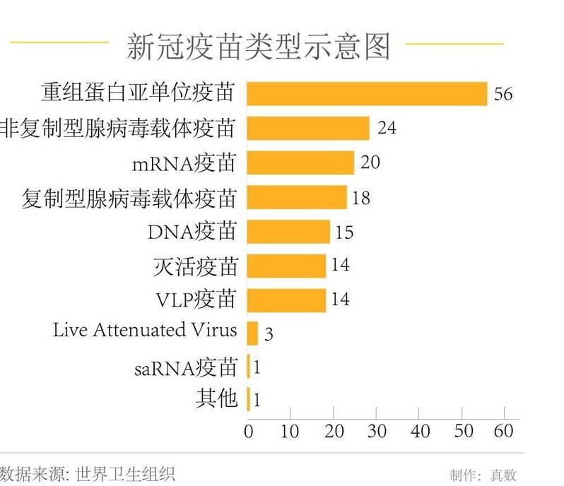 全球新冠疫苗研发 