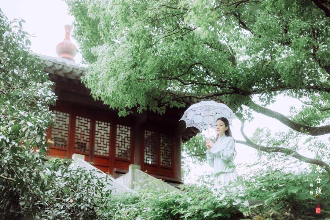 紫陌红尘与爱同行