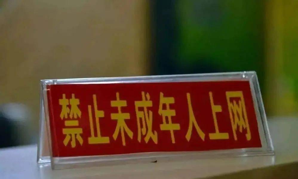 "未成年人禁止入内",宜宾95%的网吧被"监管"!