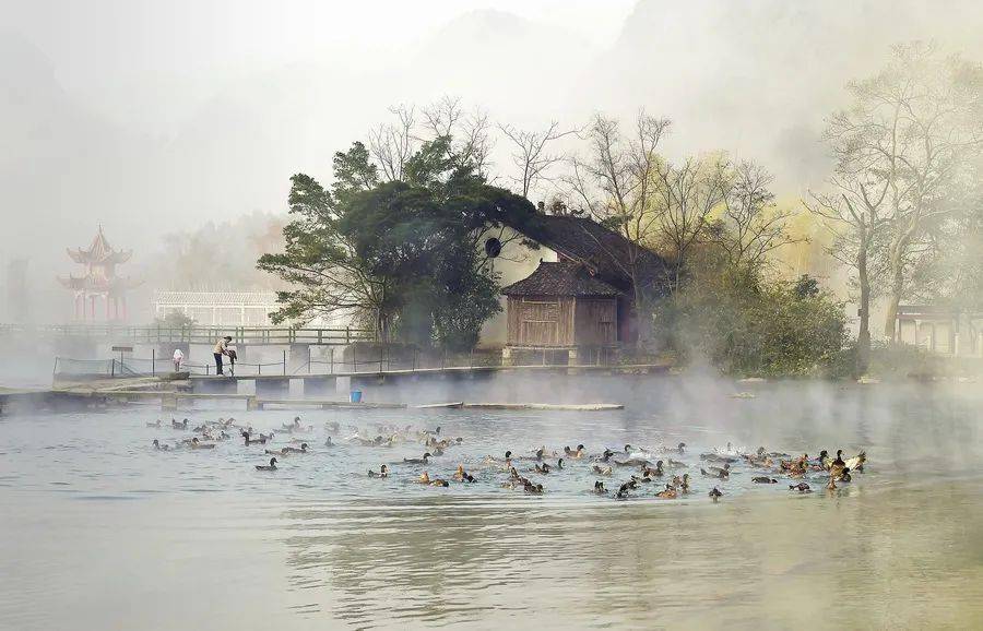 鹅泉风光好 乡村旅游旺