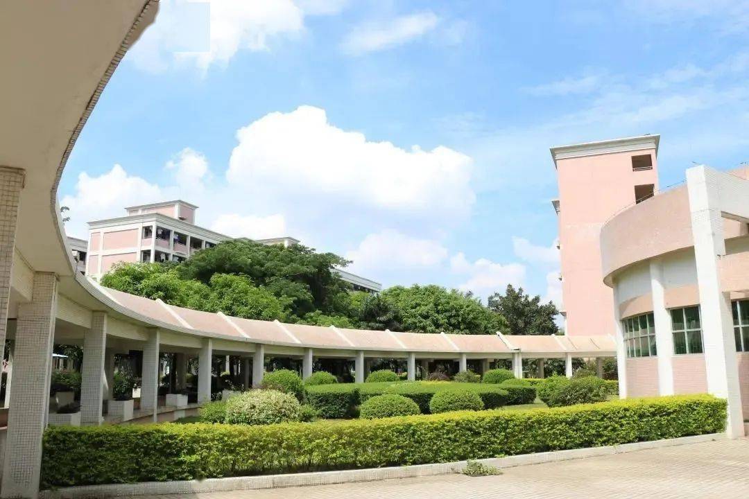 【有为丹中 立本成人】佛山市南海区丹灶镇初级中学教师招聘启事