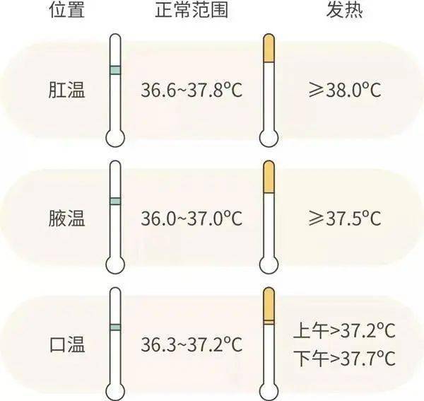人的体温是相对恒定的,通常定义体温的正常值是一个范围