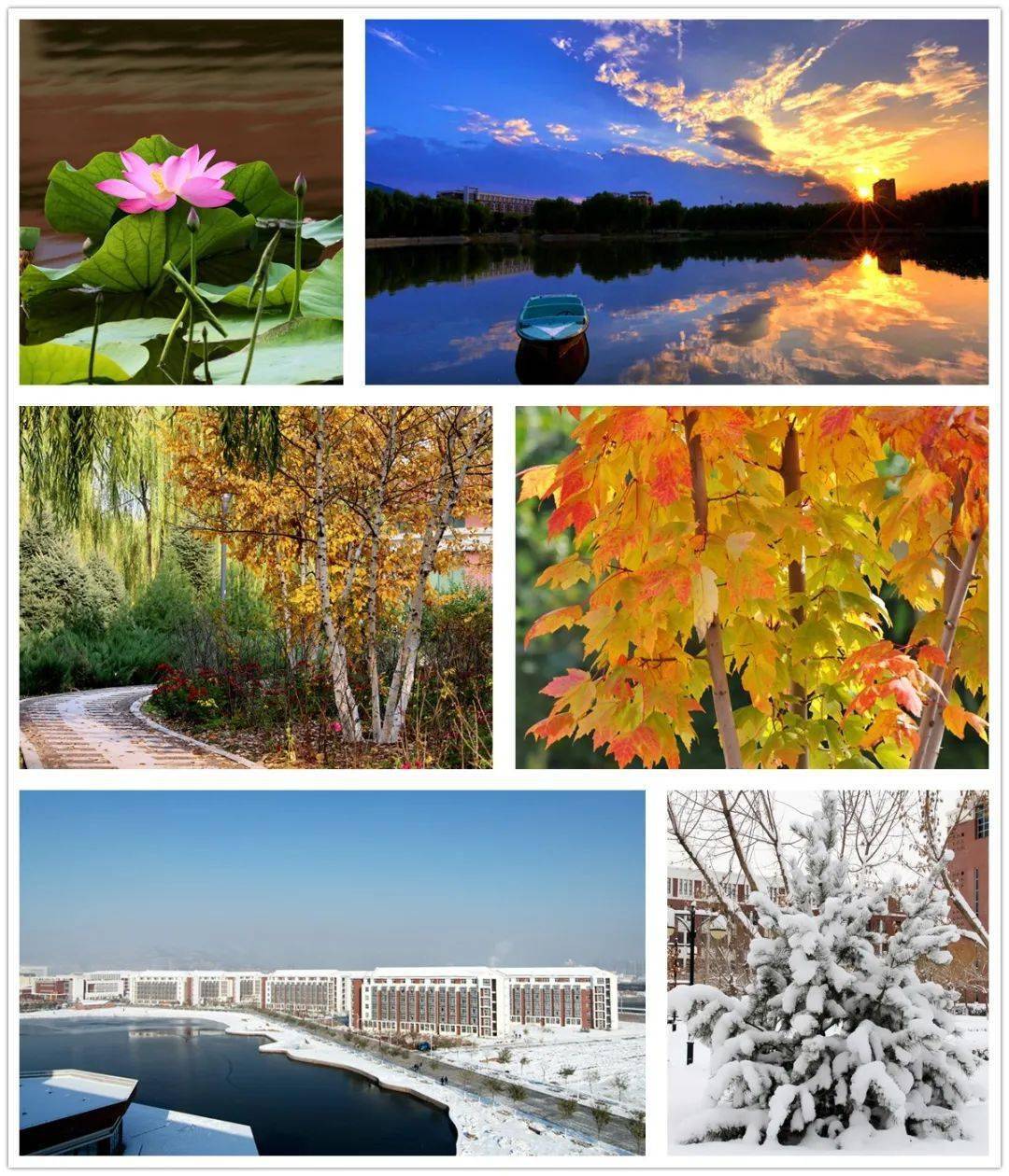 划重点选择承德石油高等专科学校的101个理由