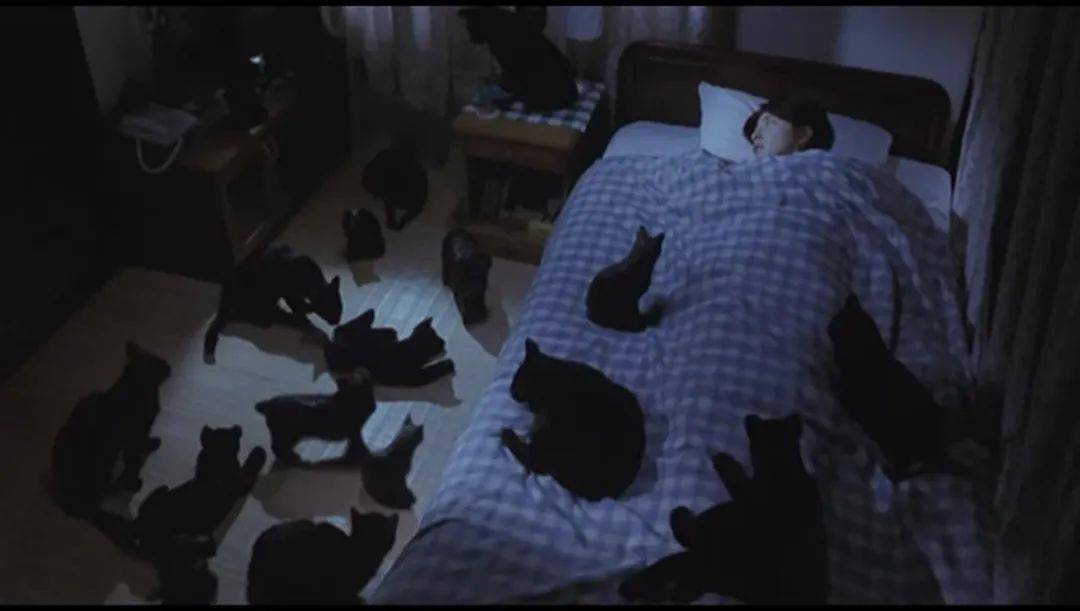 恐怖经典咒怨新番新鲜出炉女鬼界扛把子帮你凉被窝