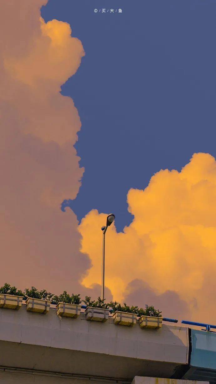 打卡100种落日配色,终于看懂黄昏的美,太治愈了!