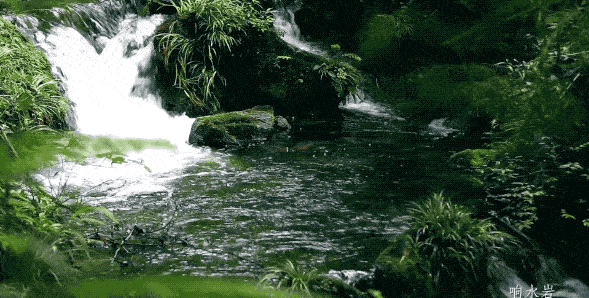 超划算!99元住#竹邻居#一室一厅帐篷房,吃柴火鸡耍皮划艇,还