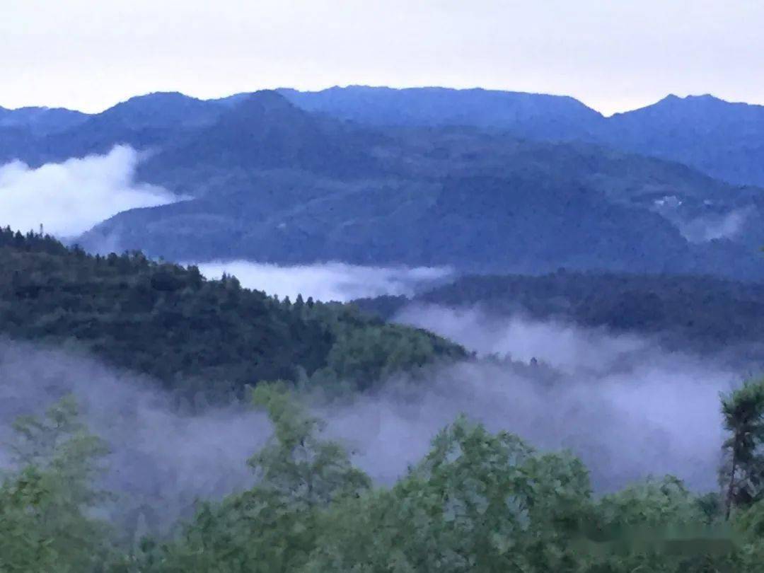 followme游温州夏天行走与泽雅大山竹林的碰撞