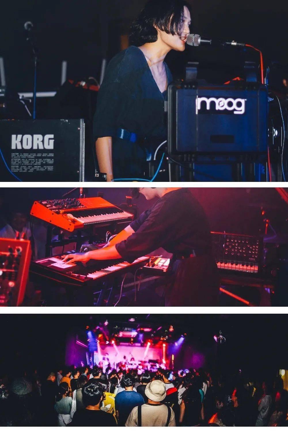 谜团唱片:"但愿我们没有标签"zimablue签约谜团