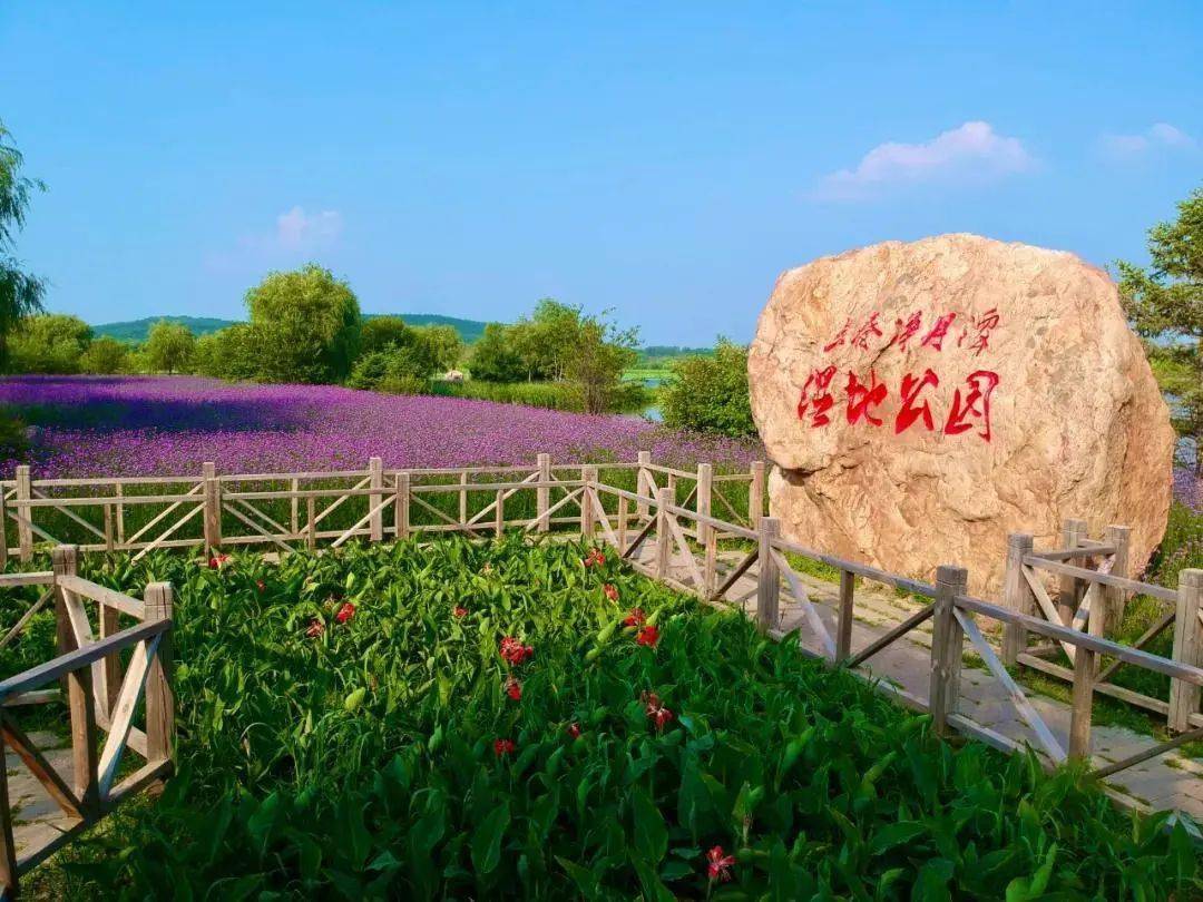 净月潭车船通票,索道有优惠 长春净月潭国家级风景名胜区的湿地公园里