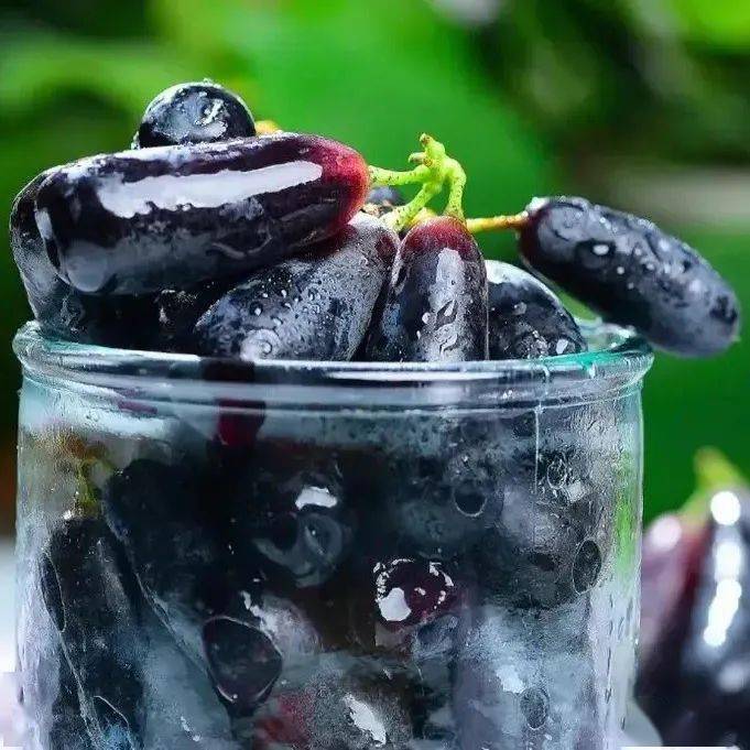 每周尝鲜|甜度高达17度,一抿爆汁的「甜蜜小炸弹」_石榴