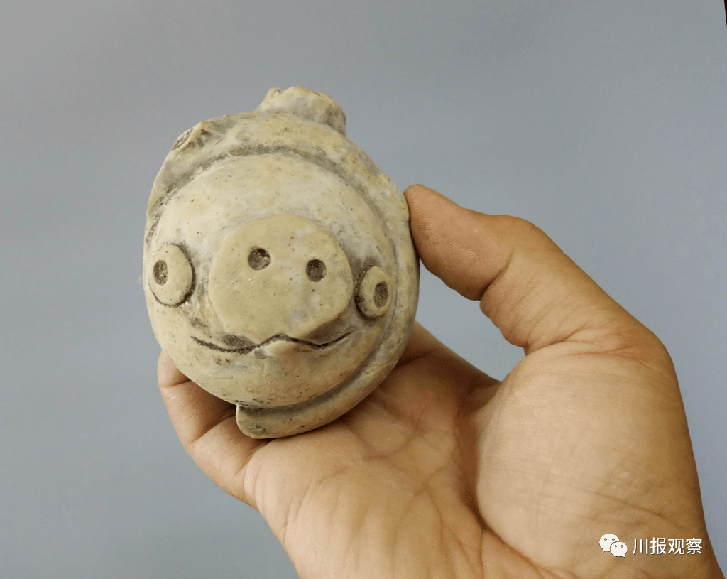 绝了!三星堆旁新出土陶猪撞脸"愤怒的小鸟"
